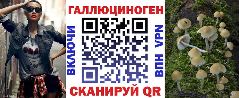 сайты даркнета наркотические препараты  Сибай  Псилоцибиновые грибы Psilocybe 
